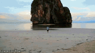 Travelling GIF by Cheezburger - Find & Share on GIPHY