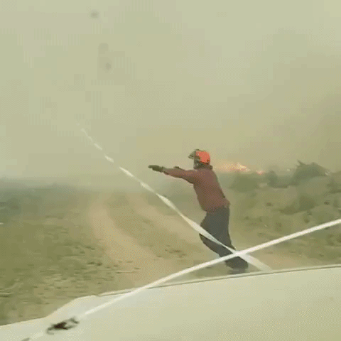 29 неприятных, странных и даже ужасных фотографий, которые лучше бы мы вообще не видели неприятные фотографии, странные фотографии, ужасные фотографии, фотографии которых лучше бы мы вообще не видели