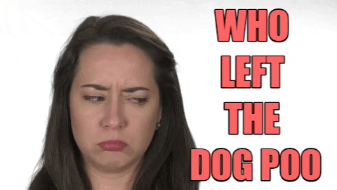 Fail Bad Dog GIF by Apartment Guide - Find & Share on GIPHY