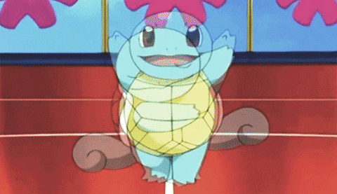 anime cute pokemon adorable squirtle