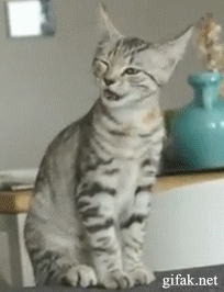Sneezing GIF - Find & Share on GIPHY