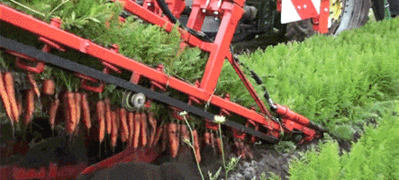 combine to gif gifsicle combine to gif gifsicle