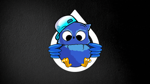 Night Owl Coding