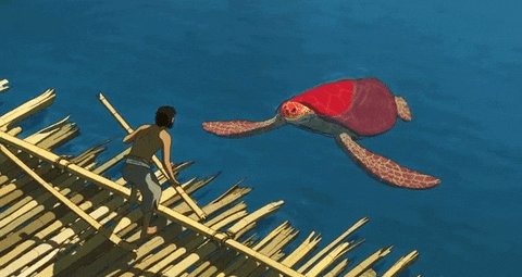 cinemagraph red turtle