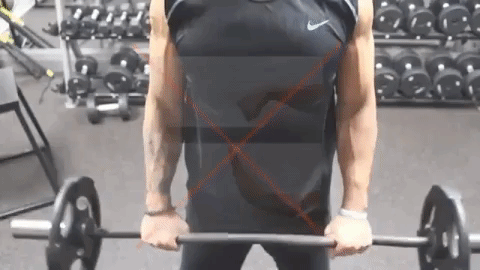 effective forearm workouts