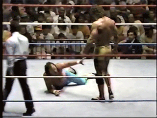 1. Singles Match (Non-title): "Ravishing" Rick Rude vs. Jake "The Snake" Roberts Giphy