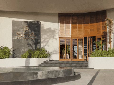 My Experience: Una semana en SHA Wellness Clinic