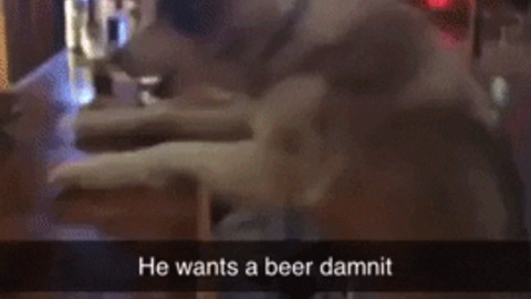 Where is my beer