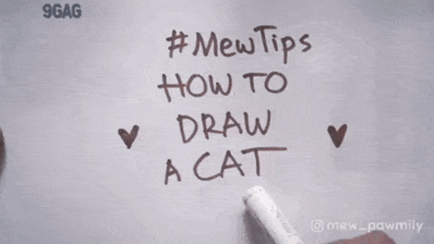 How to draw cat