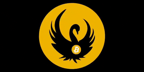Swan Bitcoin GIF