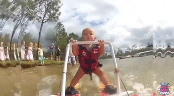Best Week Ever Water Skiing Babies GIF - Find & Share on GIPHY