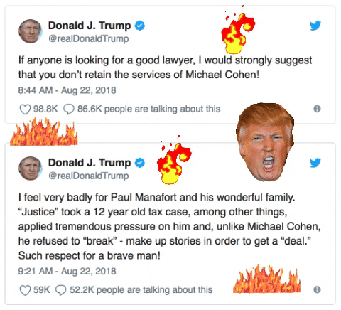 download tweet gif download tweet gif