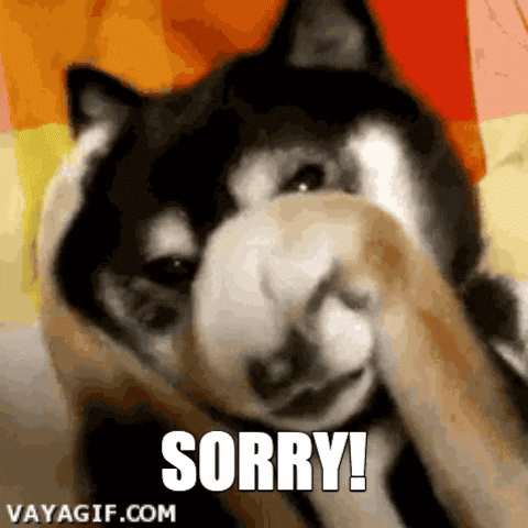 Sorry Dog GIF - Find & Share on GIPHY