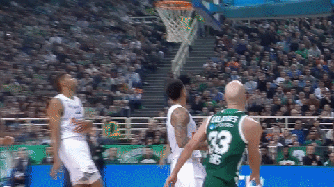 Basketball Referee GIF by EuroLeague
