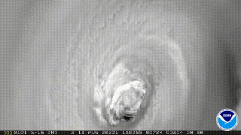 Ojo del huracán Genevieve / NOAA / Giphy