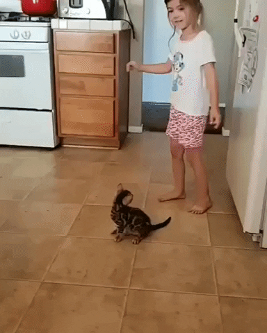 Kitten Copies Tumbling Girl Cute Funny Fail