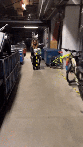 giphy.gif