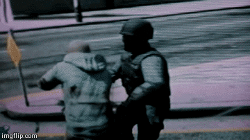 Swat GIF - Find & Share on GIPHY