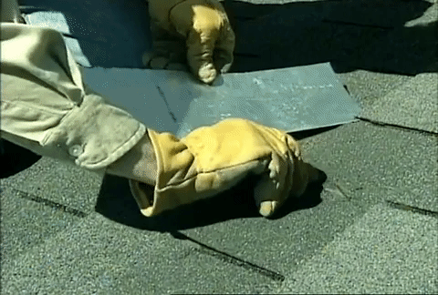 Roof Repair GIF - Find & Share on GIPHY