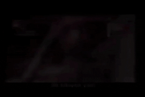 giphy.gif