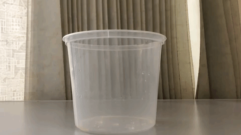 Apple Donna GIF