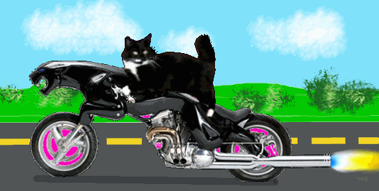 Motorcycle GIFs - Find & Share on GIPHY