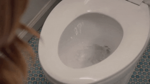 Image result for toilet flush gif