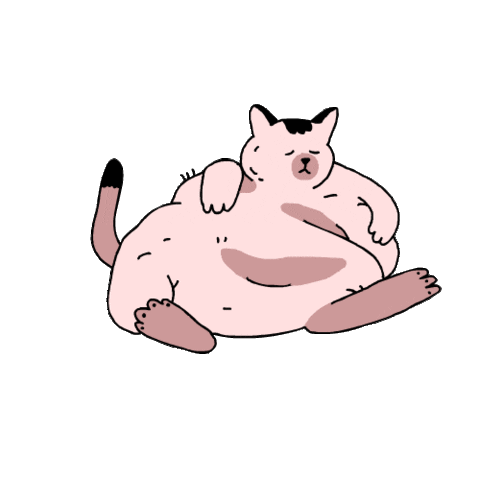 Fat Cat Sticker by BuzzFeed Animation for iOS & Android | GIPHY
