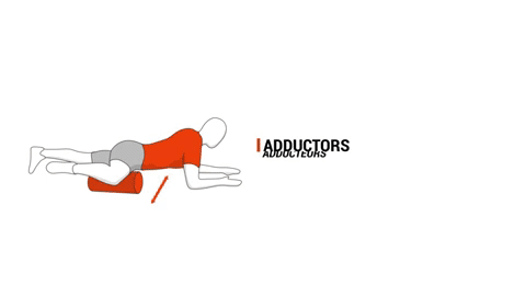 rouleau-massage-pour-adducteur