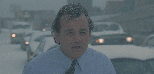 Cold Bill Murray GIF - Find & Share on GIPHY
