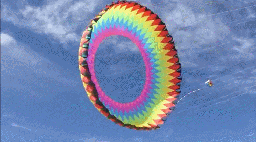 Cool Kite GIF - Find & Share on GIPHY