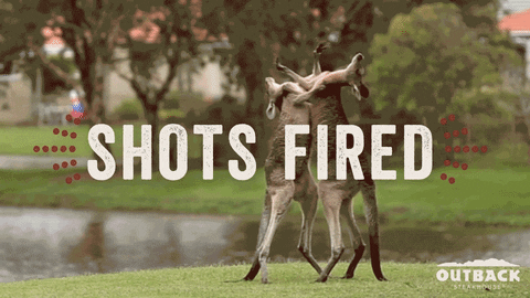 Shots Fired Kangaroo GIF by Outback Steakhouse - Find & Share on GIPHY
