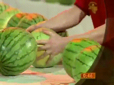 Risultato immagini per watermelon fail gif