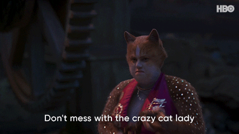Cat Lady Comedy GIF by HBO Max