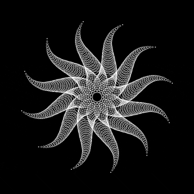 animation animal math processing creature GIF