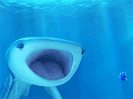 Tiburón ballena tecnología 