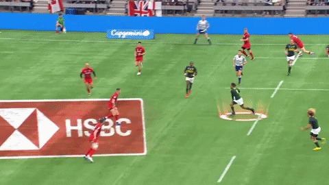 South Africa Sport GIF by World Rugby