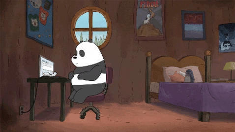 Oso panda asustado al usar un ordenador