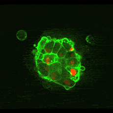 The Cell GIF - Find & Share on GIPHY