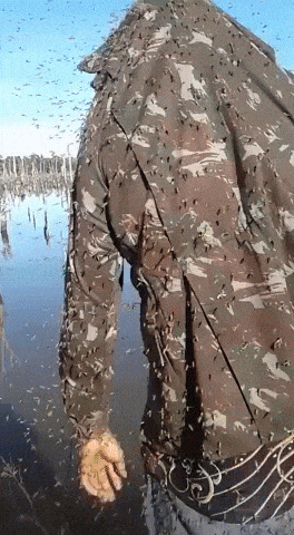 Go fishing they said It will be fun they said in wtf gifs