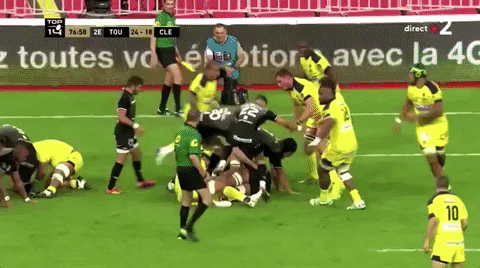 Analysis: Toulouse's Top 14