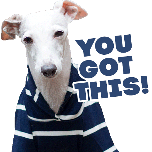 You Got This Dog Gif