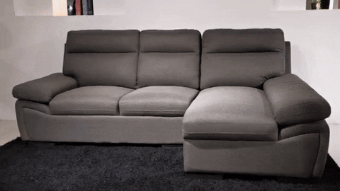 Seriously We Need Sofa Models GIF