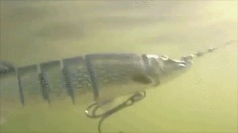 RattlePro™ Swimming Lure