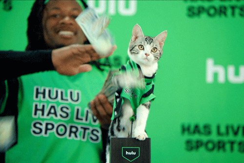 Todd Gurley Cat GIF by HULU - Find & Share on GIPHY