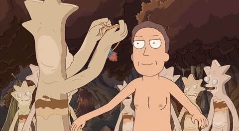 Season 4 Episode 409 GIF by Rick and Morty
