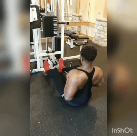 giphy.gif