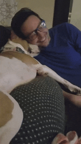 Stay with me hooman in dog gifs