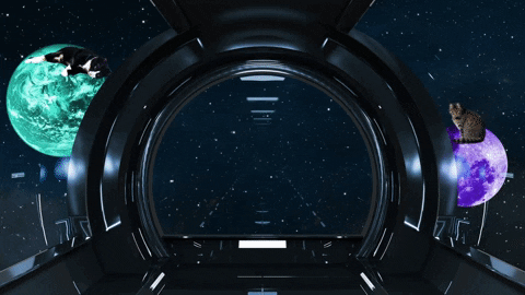 best zoom backgrounds gif