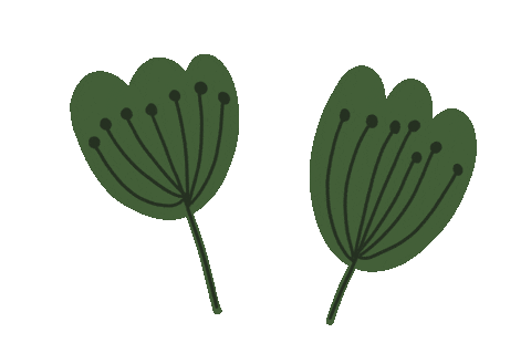 Flower Spring Sticker for iOS & Android | GIPHY